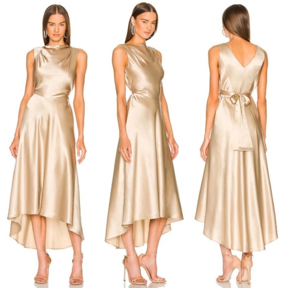 SALONI Dresses & Skirts - SALONI Jen Dress in Champagne Size US 4